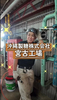 Laughing Goat Factory 求人 2
